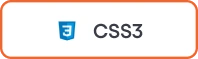 Reliable CSS3 Development Services in India